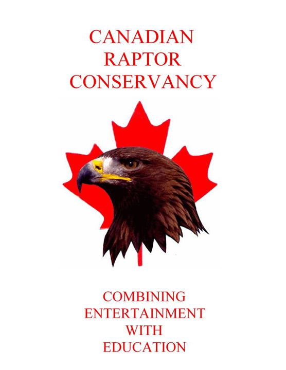 Cdn Raptor